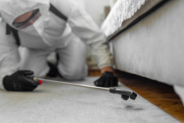 Professional Termite Control technician working in Beardstown, IL