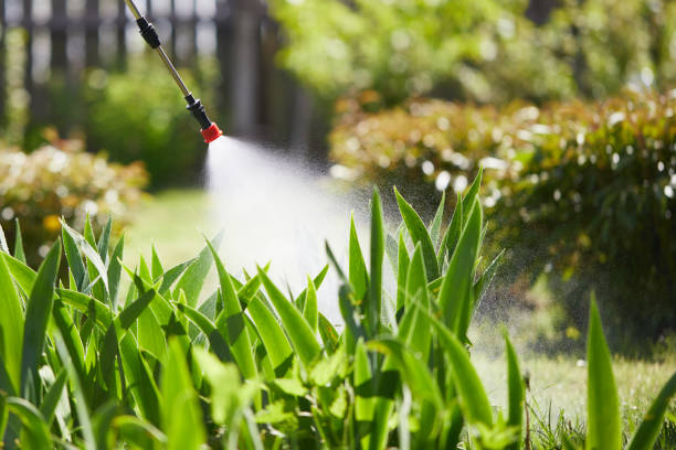 24/7 Emergency Termite Control experts in Beardstown, IL